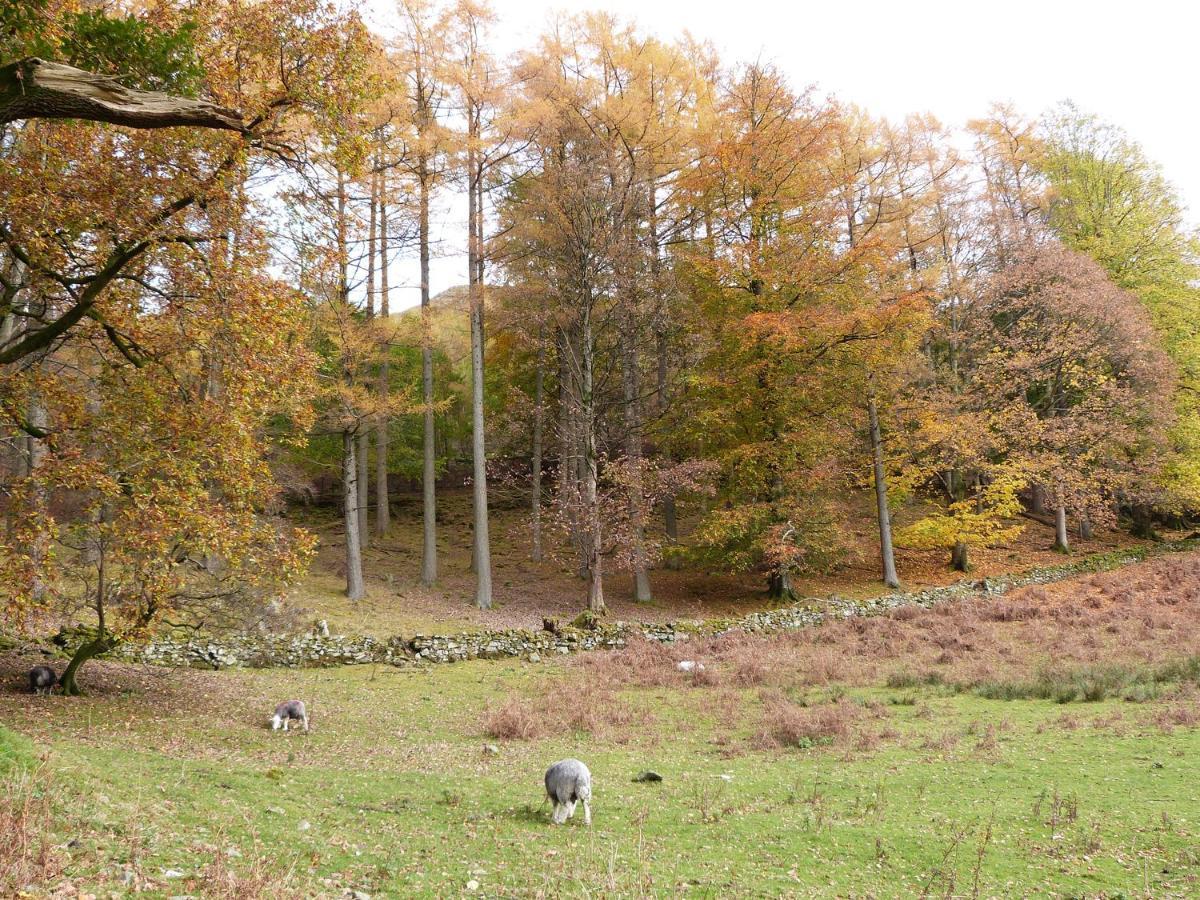 Cherry - Woodland Cottages Bowness-on-Windermere Zewnętrze zdjęcie