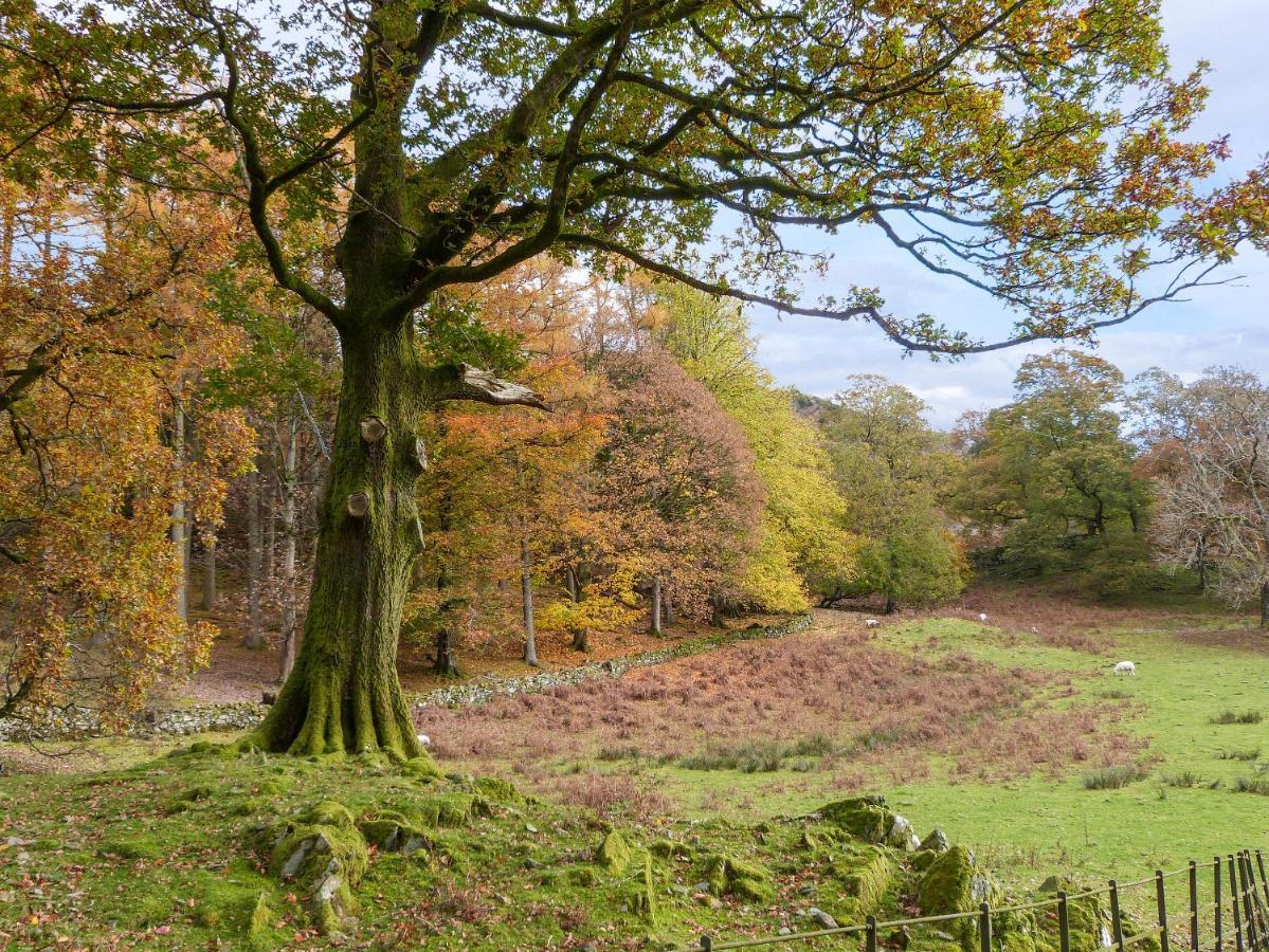 Cherry - Woodland Cottages Bowness-on-Windermere Zewnętrze zdjęcie